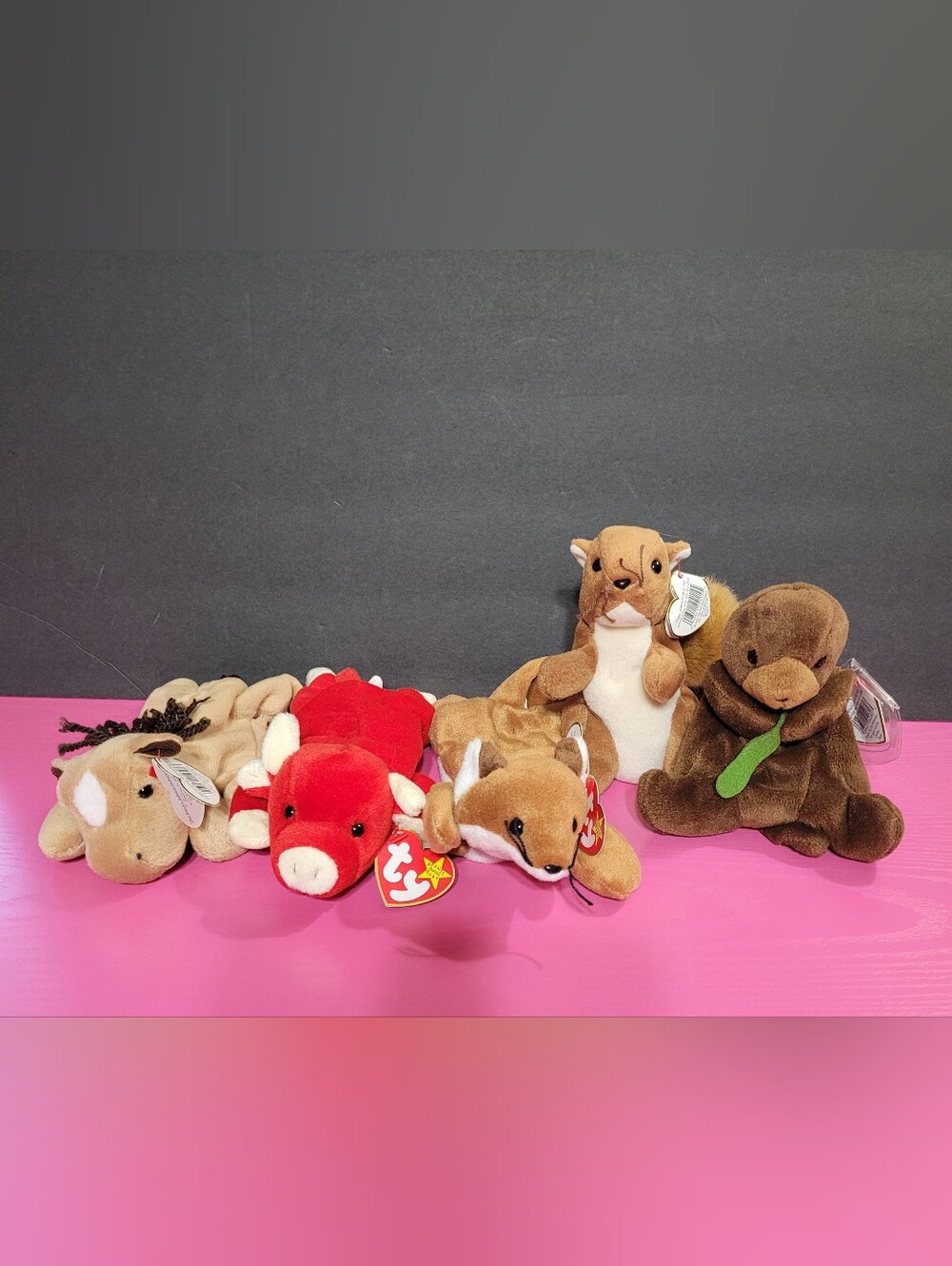 Ty Beanie Babies Plush Animals Set Of 5 (1731)